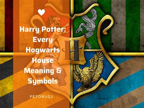 The Evolution of Hogwarts' Syllabus: From Ancient Runes to Potions